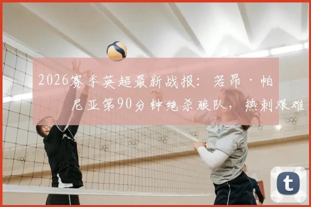 2026赛季英超最新战报：若昂·帕利尼亚第90分钟绝杀狼队，热刺艰难拿下1-0，西蒙斯、索兰克两大核心因伤提前退场