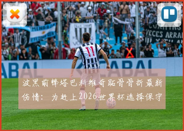 波黑前锋塔巴科维奇跖骨骨折最新伤情:为赶上2026世界杯选择保守治疗,详解恢复时间与职业风险